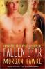 Fallen Star cover picture