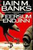 Feersum Endjinn cover picture