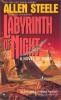 Labyrinth Of Night cover picture