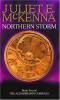 Northern Storm cover picture