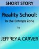 Reality School In The Entropy Zone cover picture