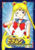 Sailor Moon cover picture